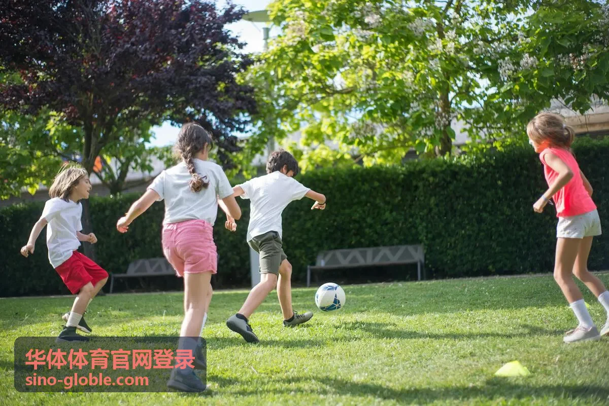 华体体育官网登录页面操作要点示意配图